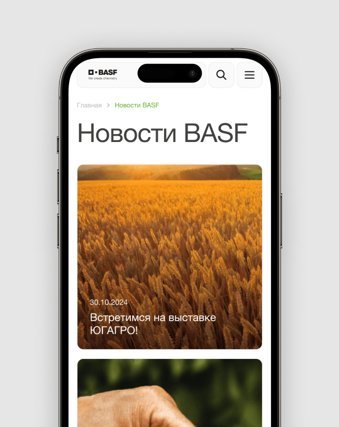 Мобильная версия BASF